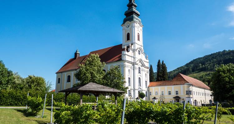 Baroque church and winery pavilion framed by rows of lush vineyards against a clear blue sky.