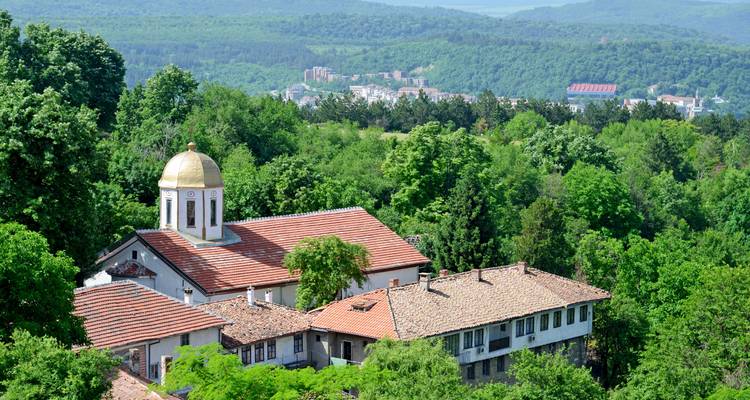 Small rural monastery complex with golden dome surrounded by dense green forest and distant town views.