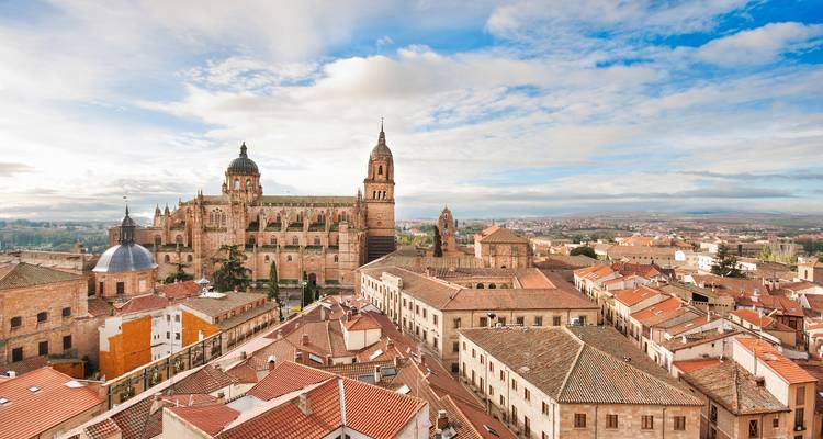 Vue panoramique depuis la terrasse du toit de la vieille ville aux toits en terre cuite, dominée par une imposante cathédrale en grès.