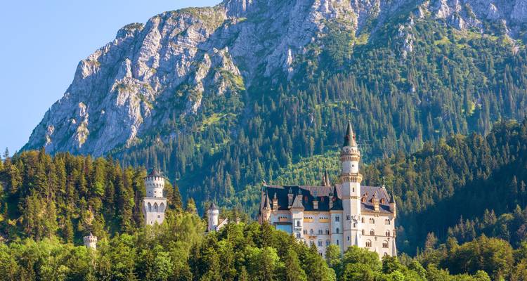 Vue classique de carte postale du château de Neuschwanstein niché dans une forêt verdoyante luxuriante sous des falaises escarpées