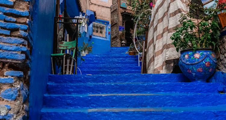 Escalier bleu vif encadré par des plantes en pot et des textiles à motifs