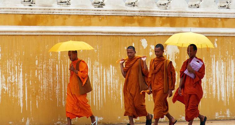 Des moines en robes safran marchent le long d'un mur jaune sous des parapluies assortis