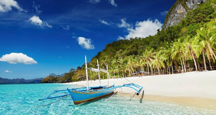 Un traditionnel bateau à balancier bleu repose sur une eau peu profonde et cristalline, à côté d'une plage bordée de palmiers.