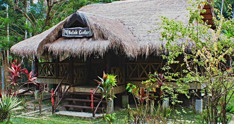 Hutte du Centre Balai au toit de chaume rustique entourée de plantes tropicales et de verdure.