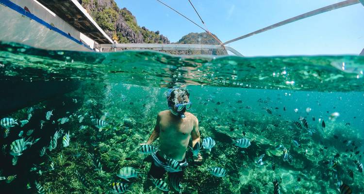 Photographie à moitié sous-marine d'un tuba plongeur entouré de poissons rayés dans une mer tropicale d'une clarté cristalline.