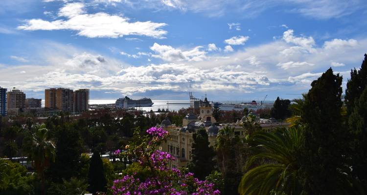 Bougainvillea framing a panoramic view of Malaga skyline, cruise port and glittering sea.