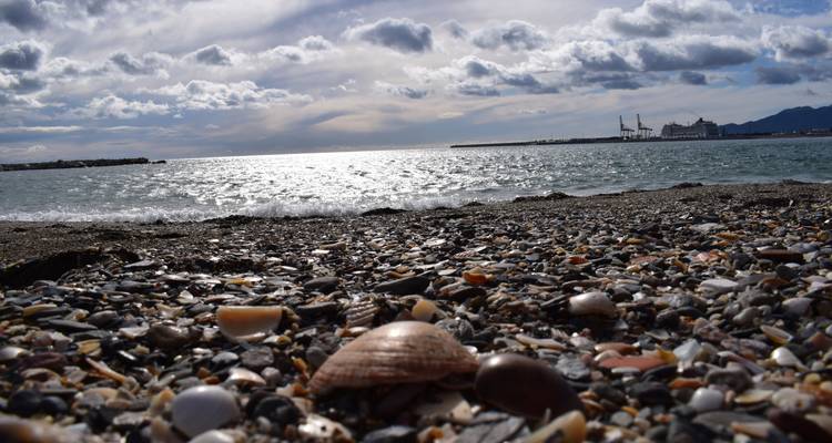 Low-angle beach shot focusing on seashells and pebbles with sparkling sea and port cranes in the distance.