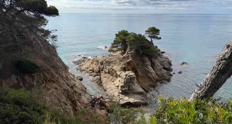 Îlot rocheux de la Costa Brava couronné de pins entouré d'une eau turquoise cristalline.