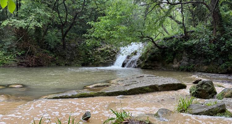 Een klein bosrivier waterval stort zich in een rustig meer omgeven door weelderig groen bos en mosachtige rotsen.