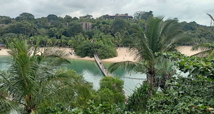 Erhöhte Ansicht einer Hängebrücke, die über türkisfarbenem Wasser zu einem von Palmen gesäumten Sandstrand auf der Insel Sentosa führt
