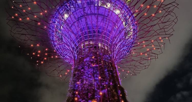 Leuchtender Supertree mit violetten und orangefarbenen Lichtern gegen den Nachthimmel in den Gardens by the Bay