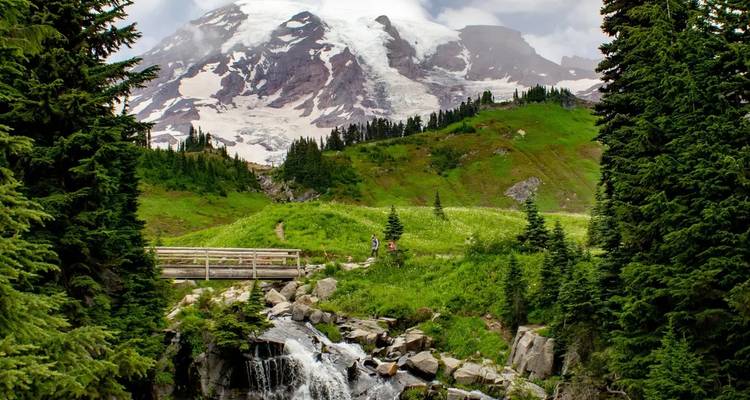 Wooden footbridge crosses a bubbly stream in a vivid green alpine meadow beneath a snow-covered peak.