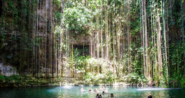 Levendige cenote met hangende lianen waar zwemmers genieten van turquoise water in een weelderige doline