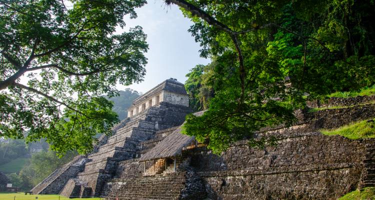 Stenen tempel van Palenque die uit dicht groen gebladerte tevoorschijn komt onder zacht ochtendlicht