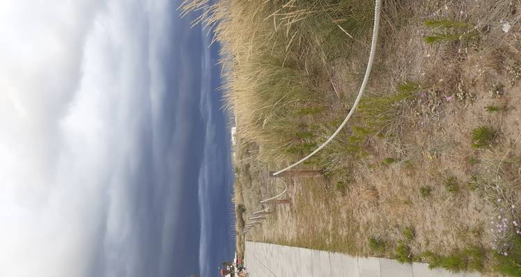 Dunes de sable avec des herbes hautes sous des nuages d'orage dramatiques et sombres le long d'une promenade en bord de mer.