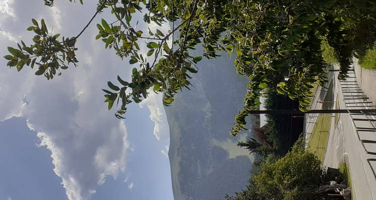 Vue encadrée par les arbres d'une route de montagne sinueuse menant vers des pentes boisées sous un ciel partiellement nuageux.