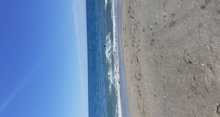 Mer bleue calme avec deux nageurs profitant des petites vagues, vue depuis une plage de sable.
