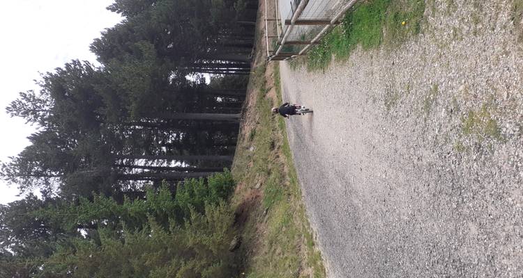 Un enfant fait du vélo sur un petit vélo le long d'un sentier forestier en gravier bordé par une clôture en bois.