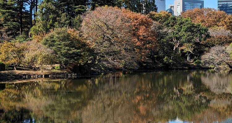Kalm meer omringd door herfstbomen die wolkenkrabbers van de stad in de verte in Tokyo weerspiegelen.