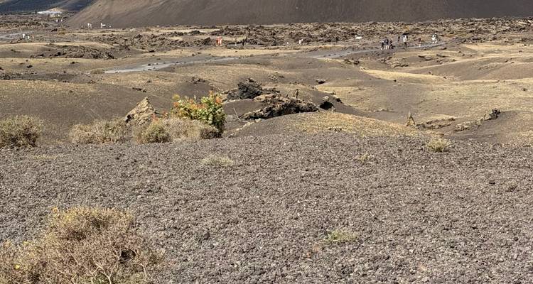 Champ de lave rocheux avec une végétation clairsemée et des sentiers de randonnée pour touristes