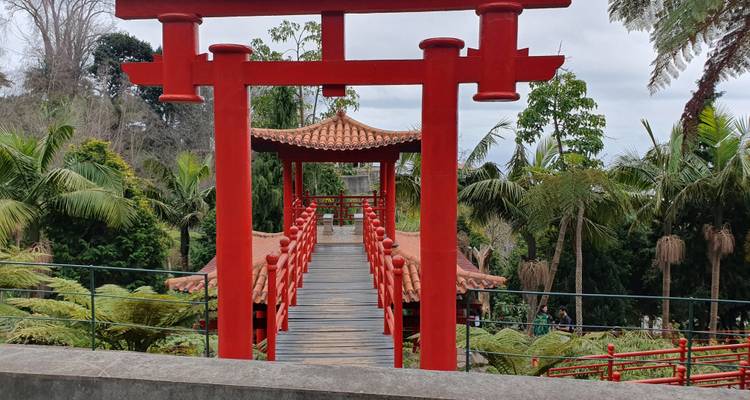 Puerta torii roja brillante y puente de madera en un jardín de clima subtropical.