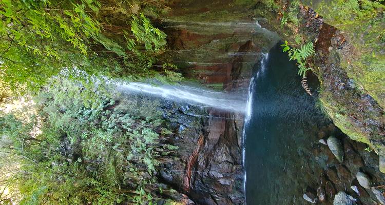 Cascada escondida en el bosque cayendo en una piscina esmeralda cristalina rodeada de helechos.