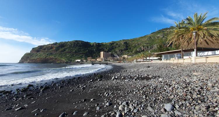 Playa de guijarros con olas suaves, palmeras y acantilados verdes bajo un cielo azul despejado.