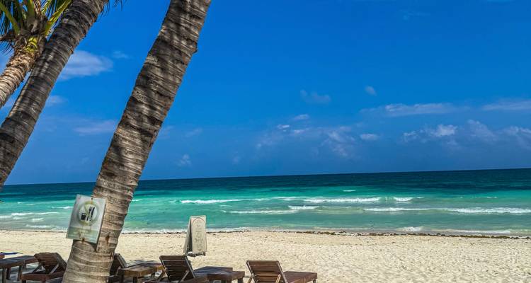 Rustig palmenstrand met ligstoelen die uitkijken op zachte turquoise golven