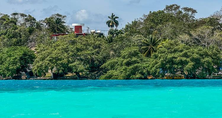 Helder turquoise lagune omgeven door dicht tropisch bos en palmen