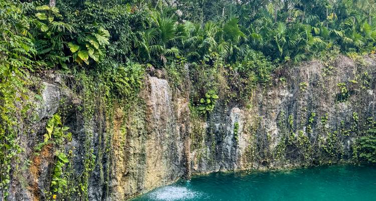Weelderig begroeide kalkstenen klif met een waterval die in een blauwe cenote stort
