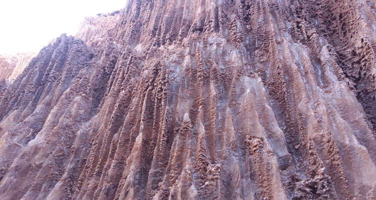 Texture rapprochée des formations de sel et de boue verticales à l'intérieur d'un canyon désertique.