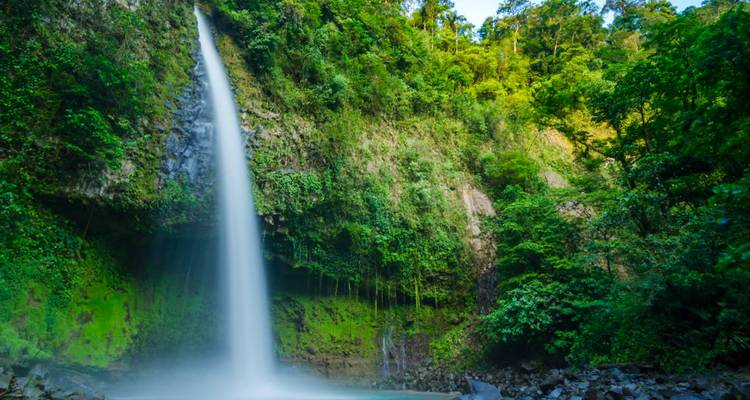Cascada de selva tropical alta cayendo en picada hacia una piscina brumosa rodeada de vegetación densa