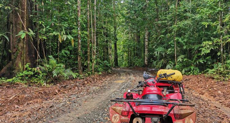 Rode ATV geparkeerd op een modderig junglepad omringd door hoge groene regenwoudenbomen.