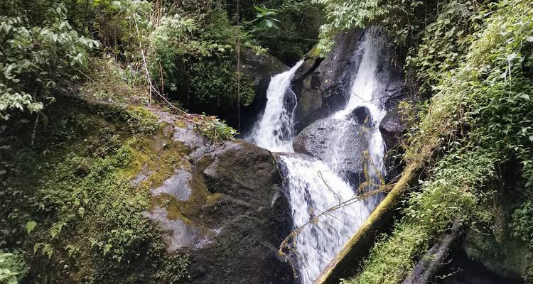 Kleine waterval met twee trappen die over donkere mosbegroeid rotsen in een dichte jungle stroomt.