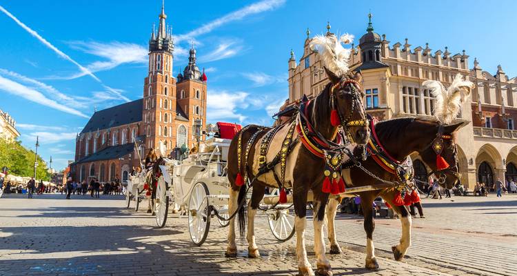 Verzierte Pferdekutschen warten auf dem Hauptplatz von Krakau neben der Marienbasilika.