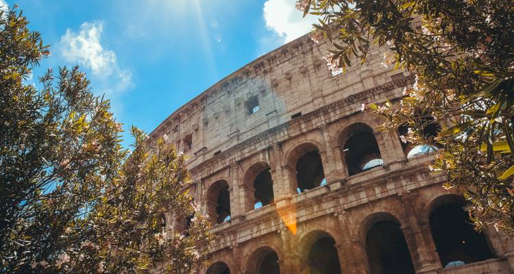 Angle ascendant du Colosseum encadré par un feuillage illuminé par le soleil sur un ciel bleu éclatant