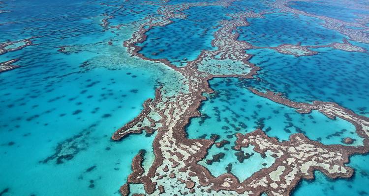 Foto aérea de las formaciones de coral intrincadas y las aguas turquesas vividas de la Gran Barrera de Coral