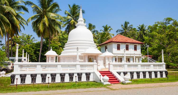 Stupa blanc du Sri Lanka avec des statues d'éléphants autour de sa base, entouré de palmiers.