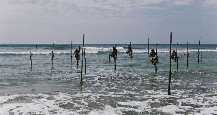 Les pêcheurs traditionnels sur échasses en équilibre sur des poteaux au-dessus des douces vagues de l'océan.