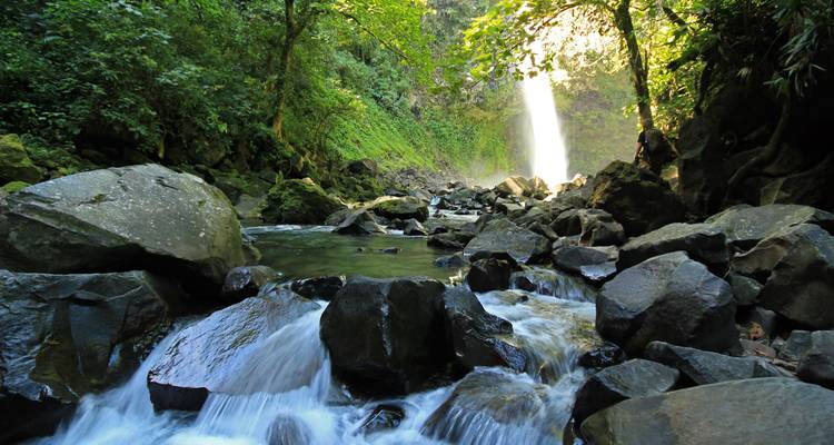 De Cascada La Fortuna stort zich in een rotsachtige junglestroom die verlicht wordt door gefiltreerd zonlicht.