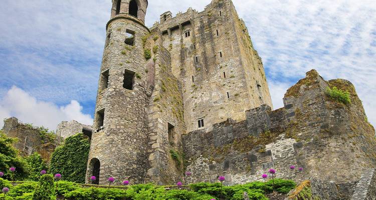 Medieval stone tower of a castle surrounded by greenery and purple flowers
