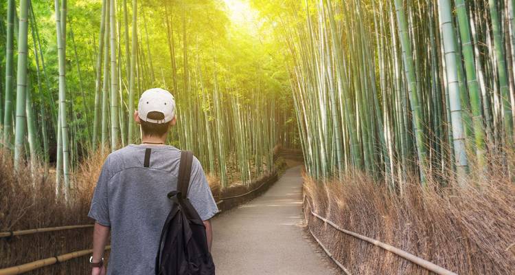 Jonge reiziger die langs een rustig bamboeforestpad loopt dat door gouden licht wordt verlicht