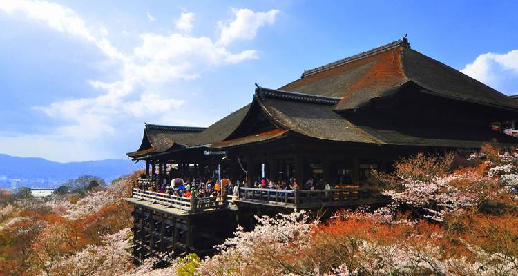 Kiyomizu-dera tempel hoog op een heuvel tussen de kersenbloesems met bezoekers op het terras