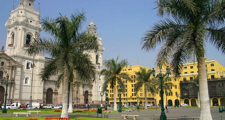 Palmpalein Plaza de Armas met de witte torens van de Lima-kathedraal onder een heldere hemel.