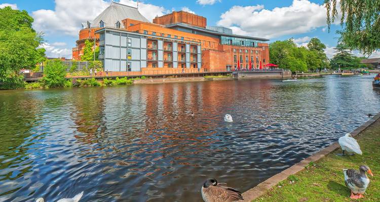 Brick Royal Shakespeare Theatre reflected in the calm River Avon with swans and ducks in the foreground.