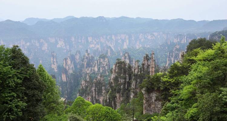 Jagged sandstone pinnacles rise from a vast forested canyon in Zhangjiajie under a grey sky.