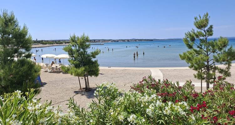 Petite crique de sable avec eau peu profonde, baigneurs et arbustes fleuris colorés