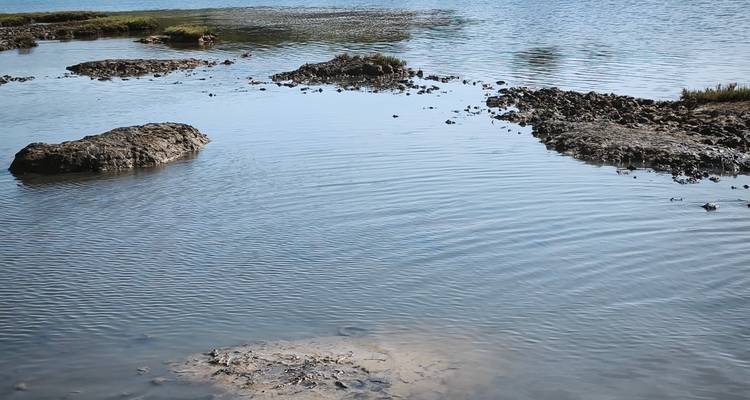 Shallow tidal pools and small rocky islets in calm water under bright daylight