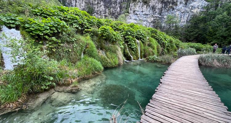 Wooden boardwalk curving over emerald pools and lush vegetation with small waterfalls