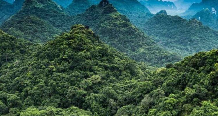 Primer plano de los picos de piedra caliza densamente boscosos que se desvanecen en la distancia azul y brumosa.